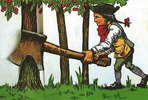 washington-cherry-tree